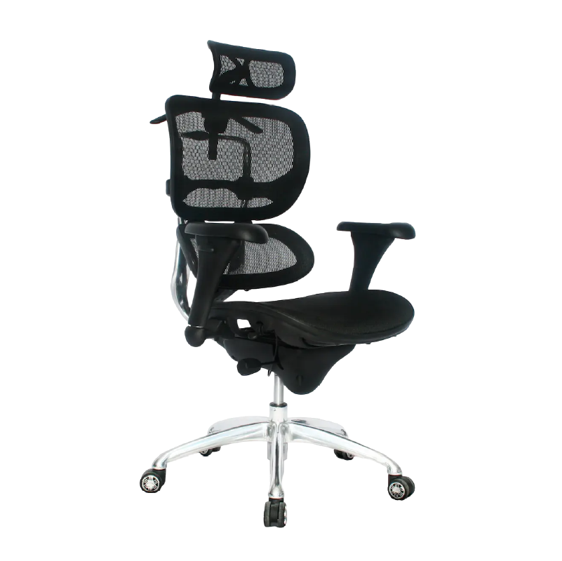Silla para Presidente y ejecutivo ERGOHUMAN ECO